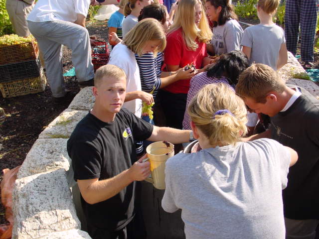 pic16.JPG